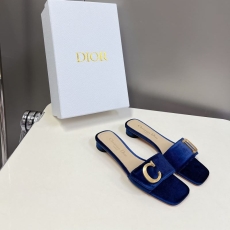 Christian Dior Slippers